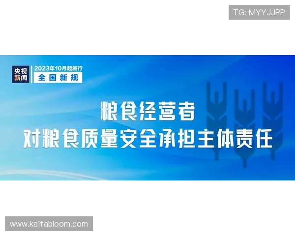 凯发线上开户安全保障措施全面解析确保玩家资金安全