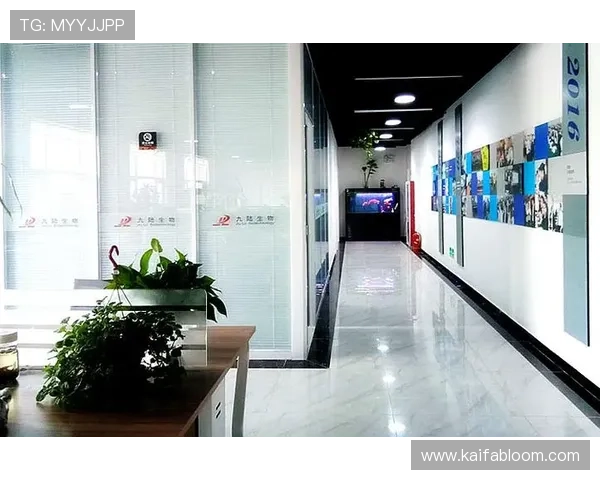 选择K8凯发直营，享受专业的客户服务与多样化的游戏选择