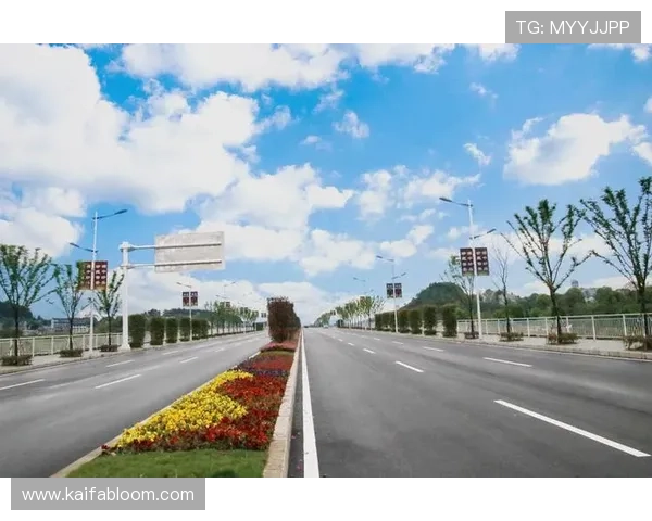 凯发电游平台官网下载安全保障措施，保障玩家个人信息和资金安全的完整方案